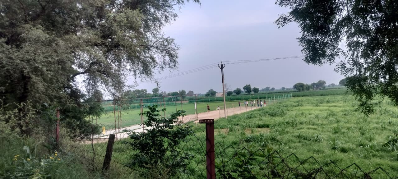The approach track running along the edge of the parcel, with a wire boundary fence, electricity poles overhead and standing crops in the fields beyond.