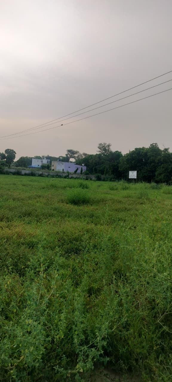 The northern edge of the parcel looking towards a boundary wall, low buildings and a signboard, with overhead power lines crossing the frame.